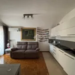 Rent 1 bedroom apartment of 45 m² in Asolo