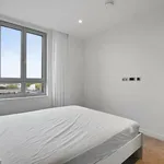 Rent 1 bedroom apartment in Paddington