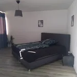 Rent 1 bedroom apartment of 42 m² in Krefeld