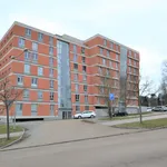 Rent 2 bedroom apartment of 71 m² in Plzeň