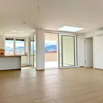 Rent 4 bedroom apartment of 123 m² in Graz