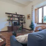 Rent 1 bedroom apartment of 70 m² in Firenze