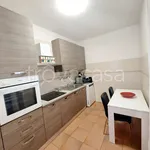 Rent 5 bedroom house of 140 m² in Arezzo