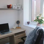 Rent 1 bedroom apartment in Leicester