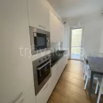 Rent 3 bedroom apartment of 100 m² in Treviso