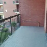 Rent 3 bedroom apartment of 84 m² in Turin