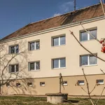 Rent 1 bedroom apartment in Louny