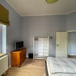 Rent 1 bedroom apartment of 60 m² in Dresden