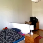 Rent 2 bedroom apartment in Zurich