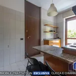 Rent 3 bedroom apartment of 110 m² in Segrate