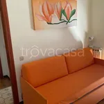 Rent 1 bedroom apartment of 50 m² in San Salvo