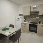 Rent 1 bedroom apartment of 40 m² in bologna