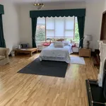 Rent a room of 350 m² in Shankill-Rathmichael DED 1986