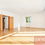 Rent 6 bedroom apartment of 250 m² in Prague