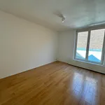 Rent 4 bedroom apartment of 125 m² in Maastricht