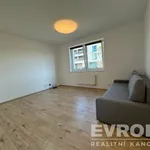 Rent 1 bedroom apartment of 30 m² in Pilsen