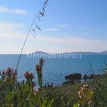 2-room flat piazza Giuseppe Mazzini, Centro, San Felice Circeo