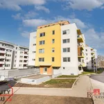 Pronajměte si 1 ložnic/e byt o rozloze 33 m² v Brno