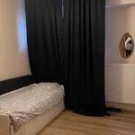 Rent a room in brussels