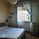 Rent 2 bedroom apartment of 50 m² in Palermo