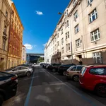 Rent 2 bedroom apartment of 80 m² in Capital City of Prague