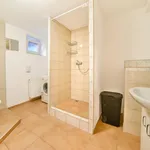 Rent 1 bedroom apartment of 31 m² in Pilsen