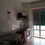 Rent 2 bedroom apartment of 70 m² in Genova