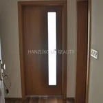 Rent 1 bedroom apartment of 28 m² in České Budějovice