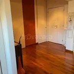 Rent 3 bedroom apartment of 60 m² in Ancona