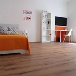 Rent a room in trento