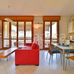 Rent 2 bedroom apartment of 45 m² in Bologna