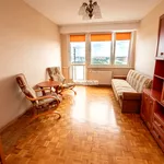 Rent 3 bedroom apartment of 45 m² in Toruń