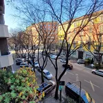 Rent 2 bedroom apartment of 50 m² in Milano