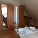 Rent 1 bedroom apartment of 144 m² in Brno