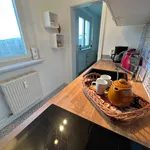 Rent 2 bedroom apartment of 42 m² in Altenberg