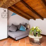 Rent 1 bedroom apartment of 45 m² in Bologna