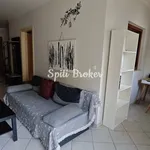 Rent 1 bedroom apartment of 50 m² in Municipal Unit of Kalavryta