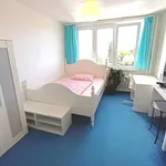 Rent a room of 80 m² in Prague