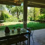 Rent 2 bedroom apartment of 100 m² in Νέα Ερυθραία