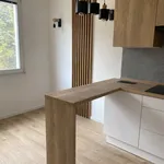 Rent 1 bedroom apartment in Ústí nad Labem