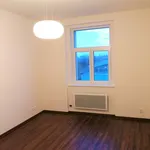 Pronajměte si 2 ložnic/e byt o rozloze 41 m² v Prague