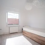 Rent 1 bedroom house of 125 m² in Zruč nad Sázavou