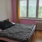 Rent 1 bedroom apartment in Ostrava