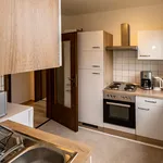 Rent 4 bedroom apartment of 80 m² in Bonn