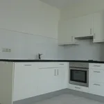 Rent 3 bedroom apartment of 98 m² in Leiden