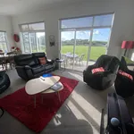 Rent 4 bedroom house in Palmerston North