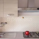 Rent 4 bedroom apartment of 100 m² in Isernia