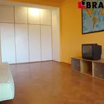 Rent 1 bedroom apartment of 49 m² in Brno