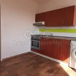 Pronájem bytu 1+1 36m²