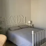 Rent a room of 120 m² in Alicante